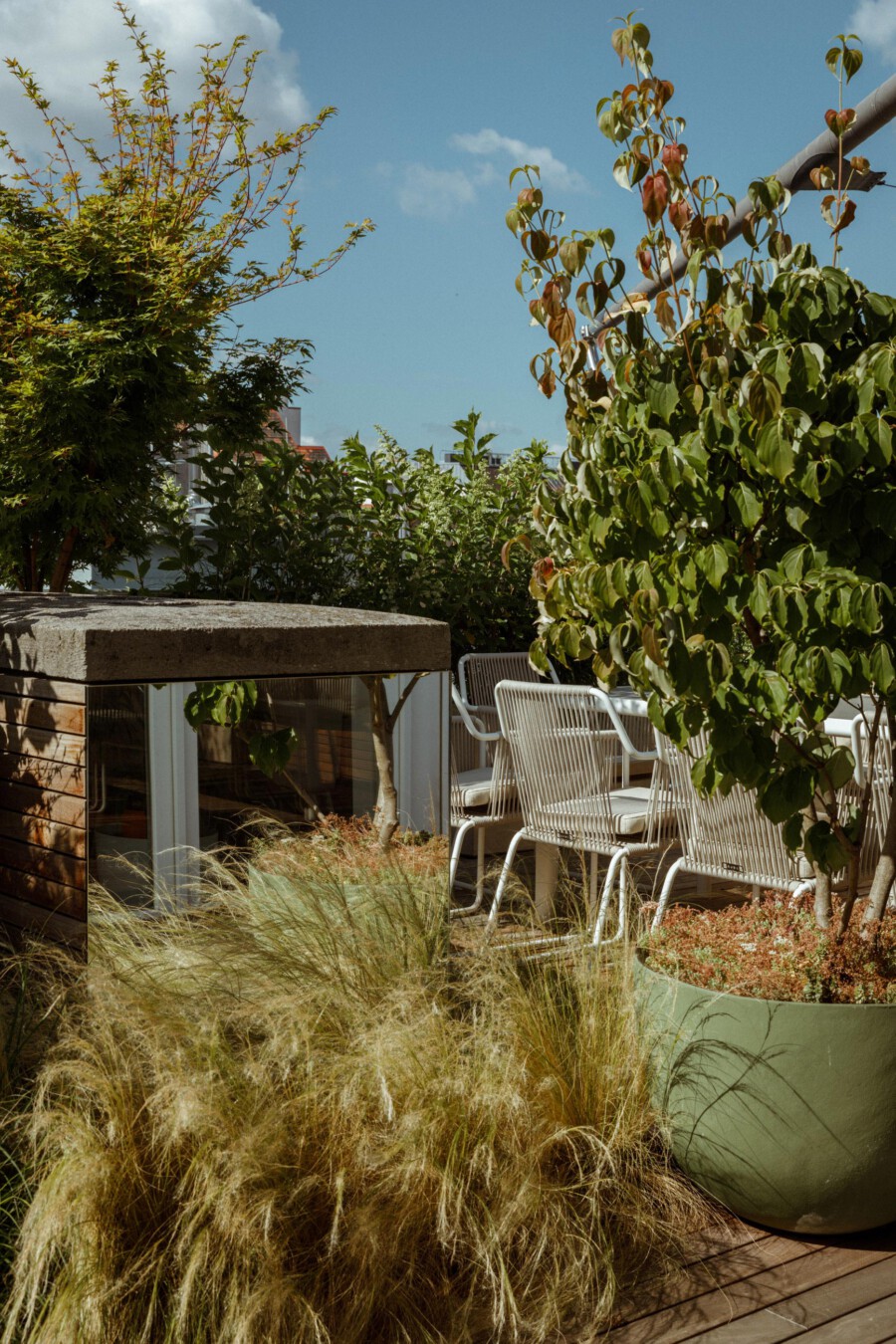 Rooftop terrace with white metal chairs around a glass-walled cabin; Calamagrostis x acutiflora grasses frame the scene.