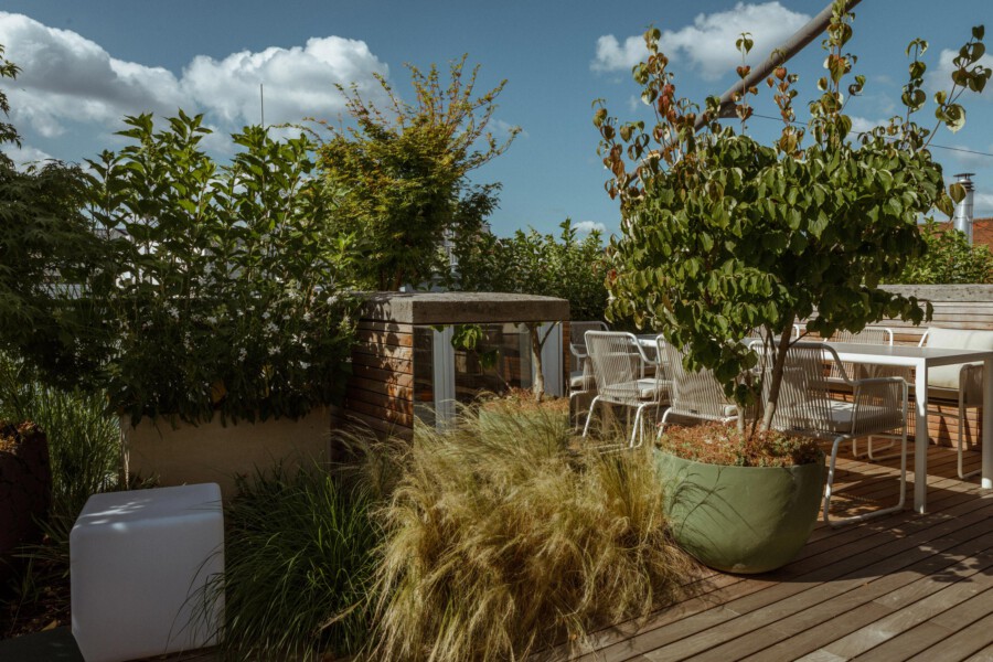 Rooftop wooden deck with white metal chairs and table, potted Cercis siliquastrum and Pennisetum setaceum, under a blue sky.
