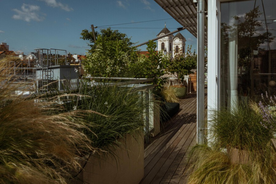 Rooftop terrace garden with planters of Miscanthus sinensis grasses along a wooden deck.