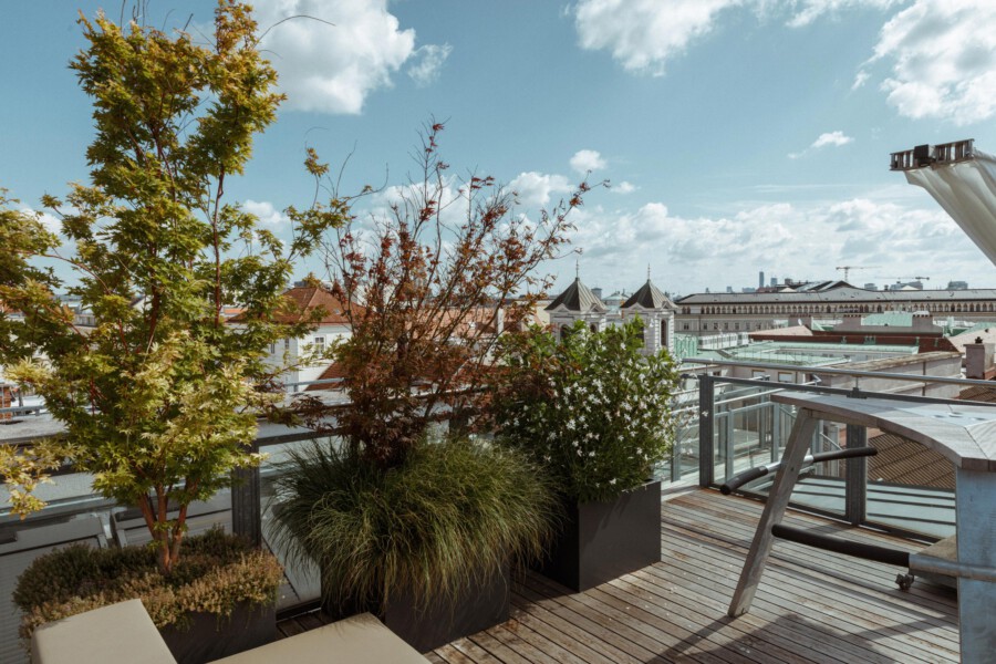 Rooftop terrace with potted Acer palmatum, Miscanthus sinensis, and Spiraea spp. in bloom, overlooking a city skyline.