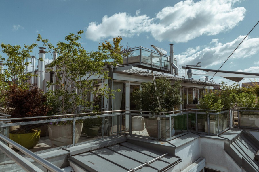 Rooftop terrace garden with potted trees and shrubs, glass railing, metal vents, under a blue sky.