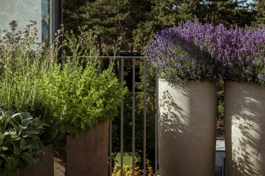 T1 A6325 kramerundkramer gartenarchitektur katsey