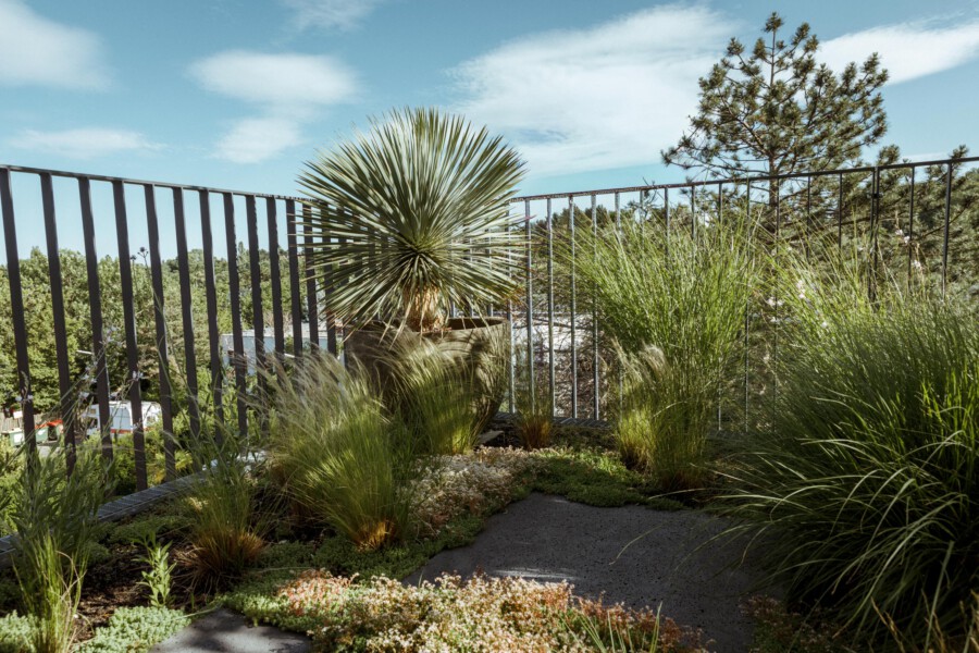 T1 A6378 kramerundkramer gartenarchitektur katsey