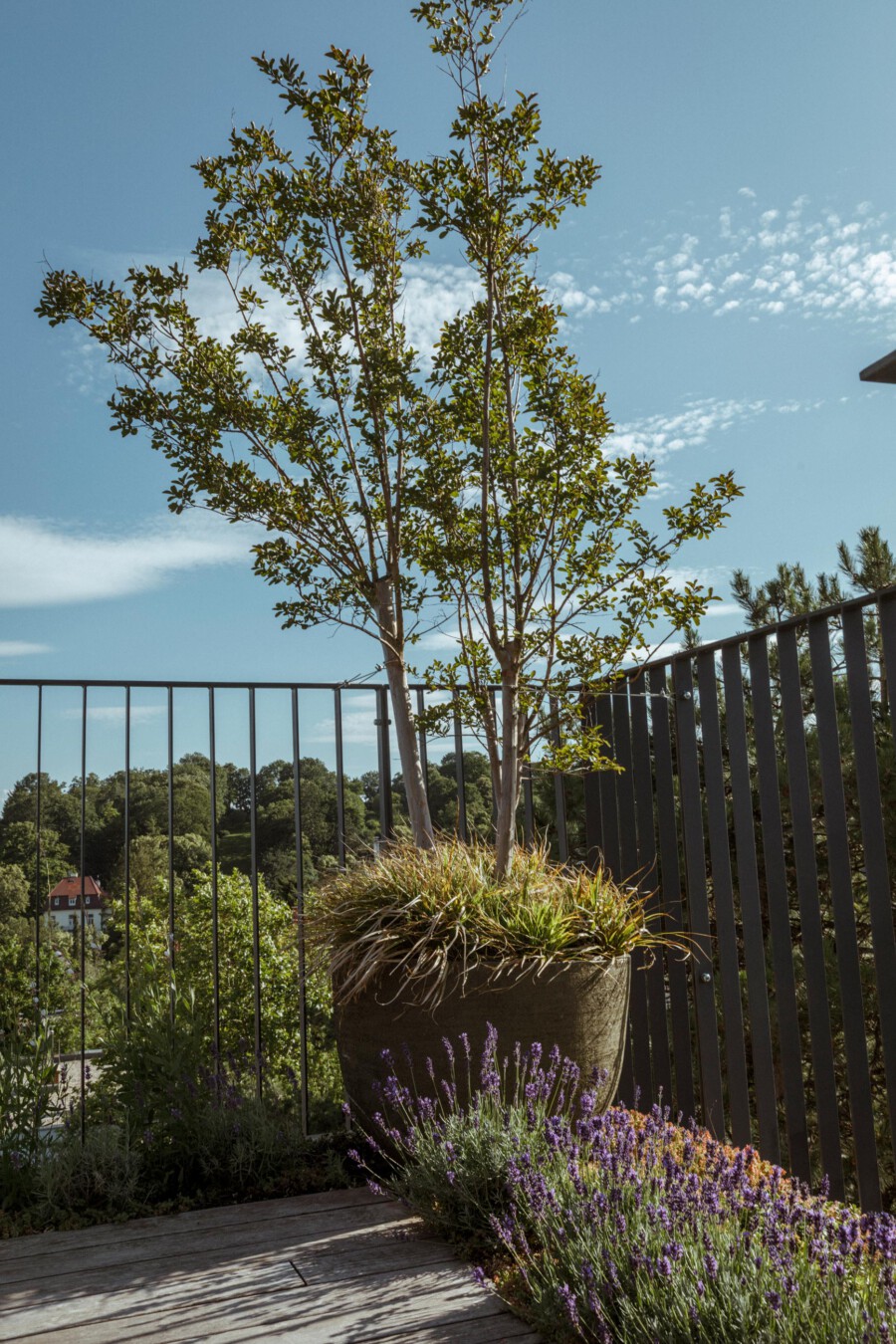 T1 A6382 kramerundkramer gartenarchitektur katsey