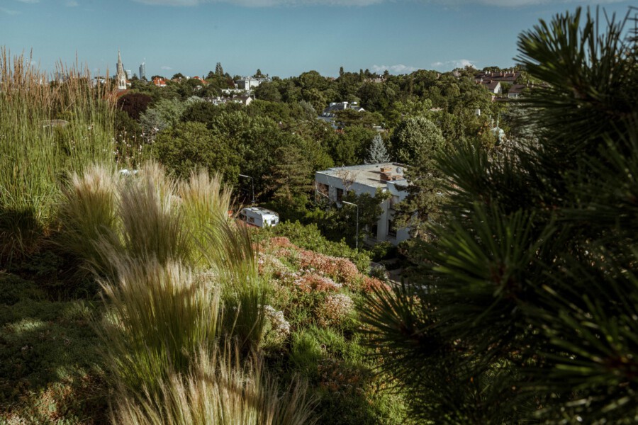 T1 A6448 kramerundkramer gartenarchitektur katsey