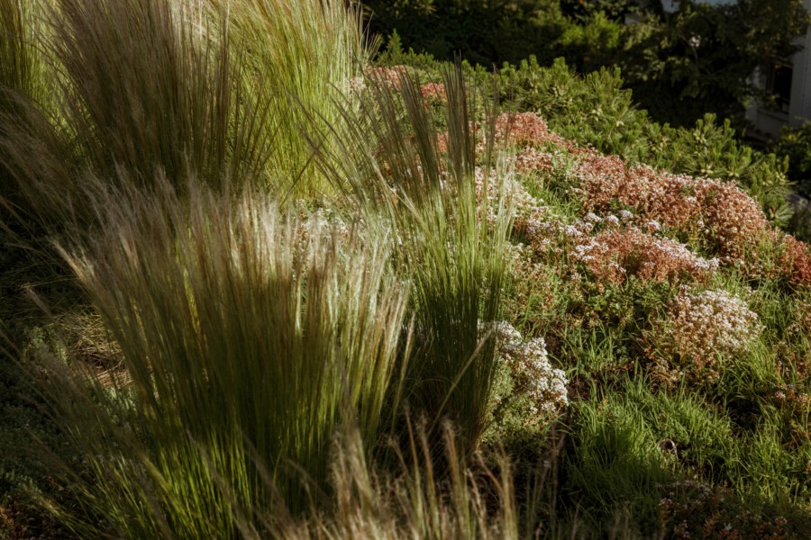 T1 A6452 kramerundkramer gartenarchitektur katsey