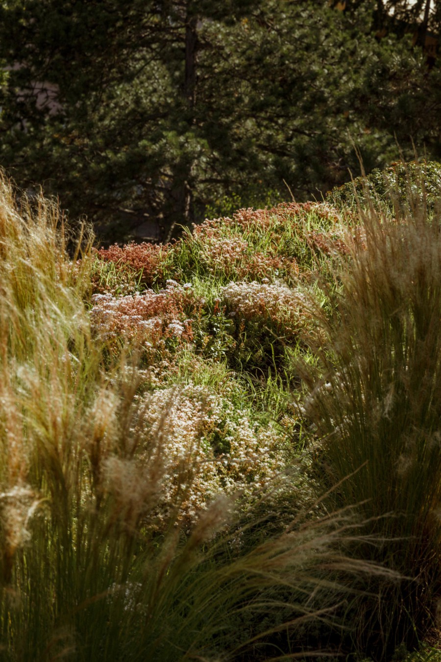 T1 A6456 kramerundkramer gartenarchitektur katsey