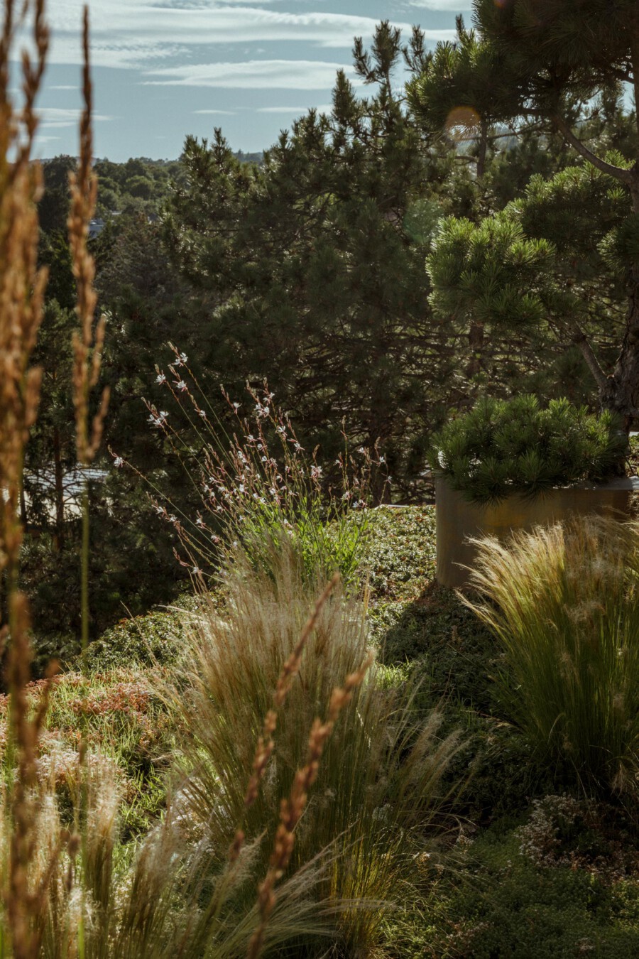 T1 A6460 kramerundkramer gartenarchitektur katsey