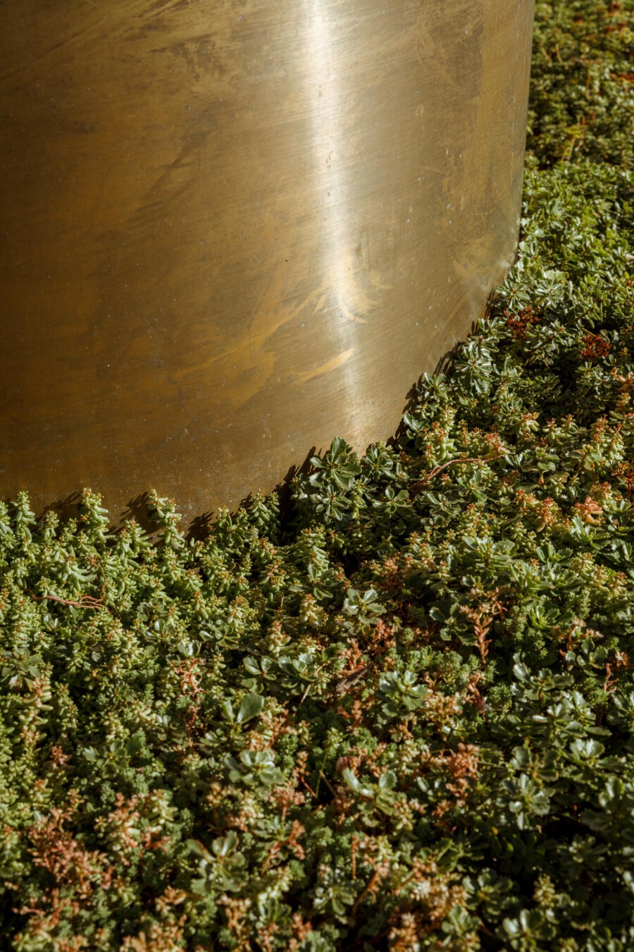 T1 A6469 kramerundkramer gartenarchitektur katsey