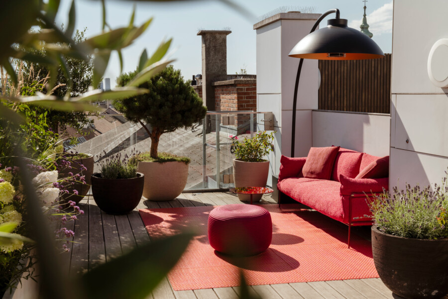 Dachterrasse mit rotem Sofa, schwarzem Lampenschirm und Glasgeländer; Lavandula angustifolia, Olea europaea, Pinus sp., Hydrangea macrophylla.