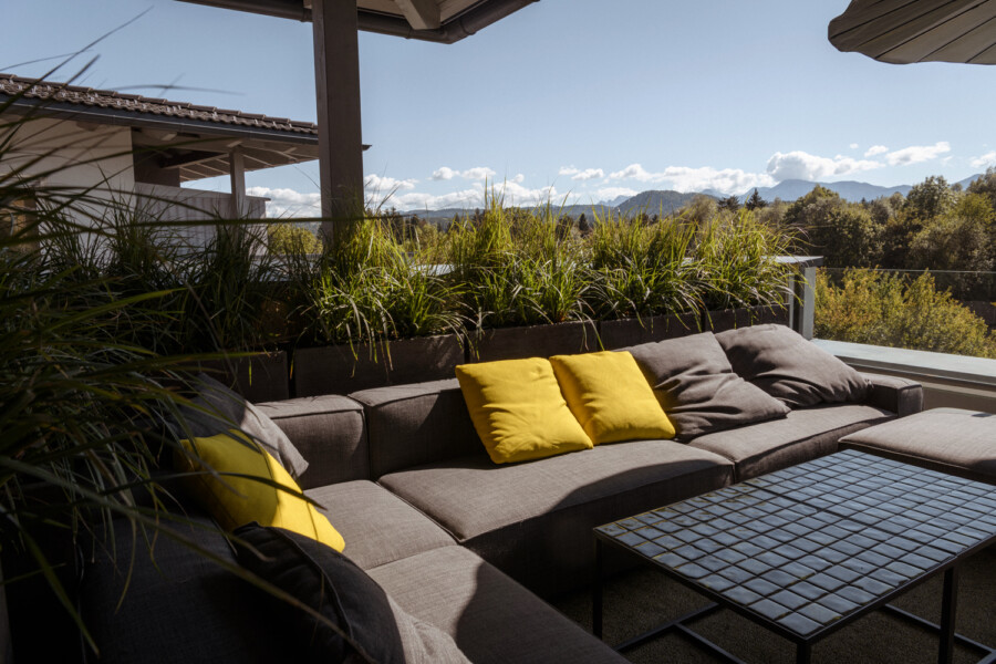 DSC4421 kramer und kramer gartenkatsey