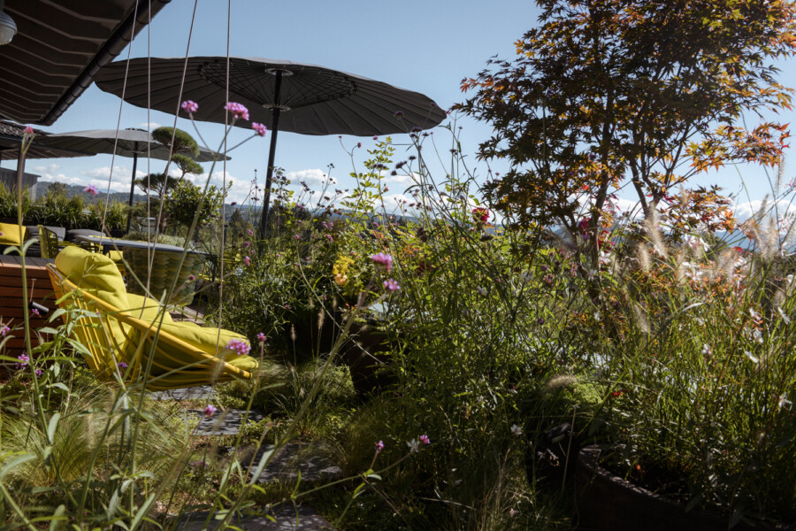DSC4473 kramer und kramer gartenkatsey