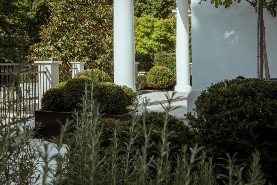 Sunlit courtyard with white columns on a porch, trimmed round shrubs, and lush greenery; metal railing to the left and a white wall to the right.