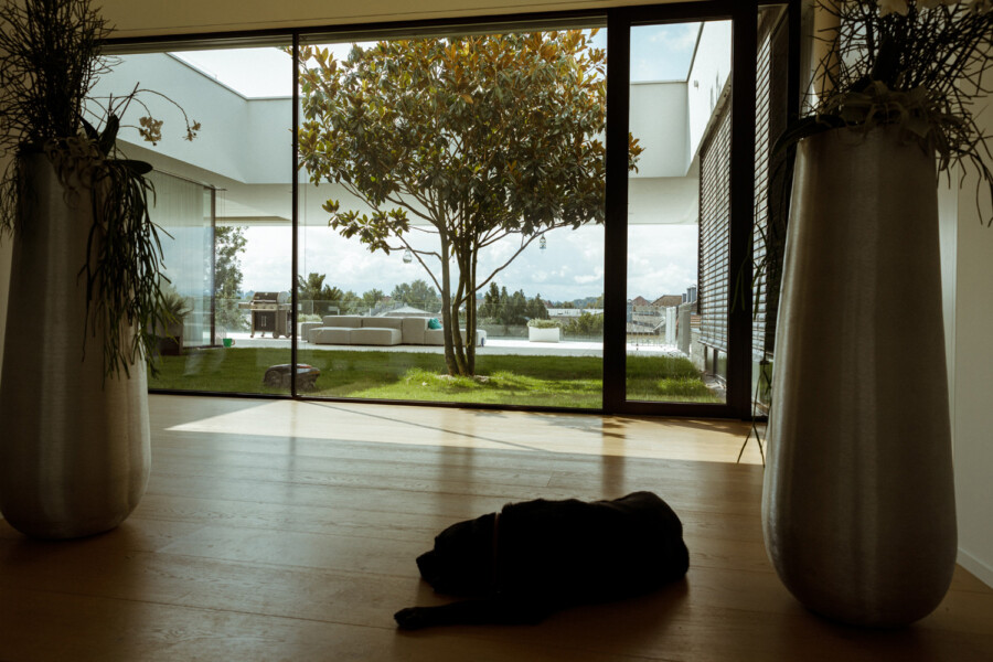 Q9 A6224 kramer und kramer garten katsey