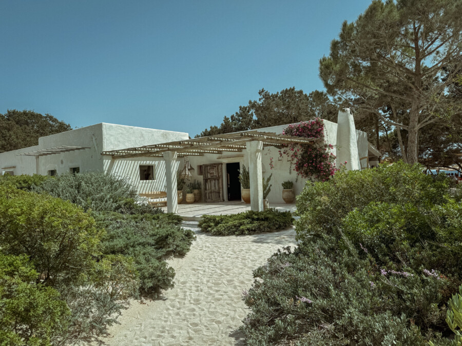 IMG 3337 kramer und kramer gartenkatsey