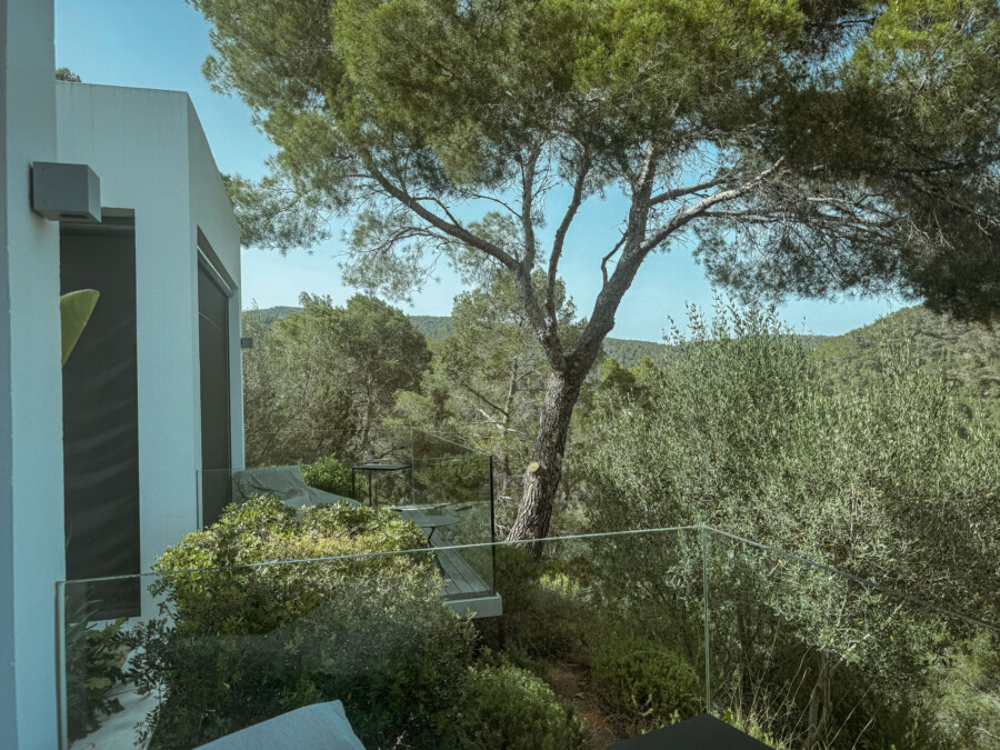 IMG 3350 kramer und kramer gartenkatsey