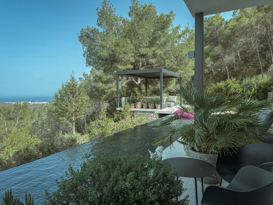 IMG 3370 kramer und kramer gartenkatsey