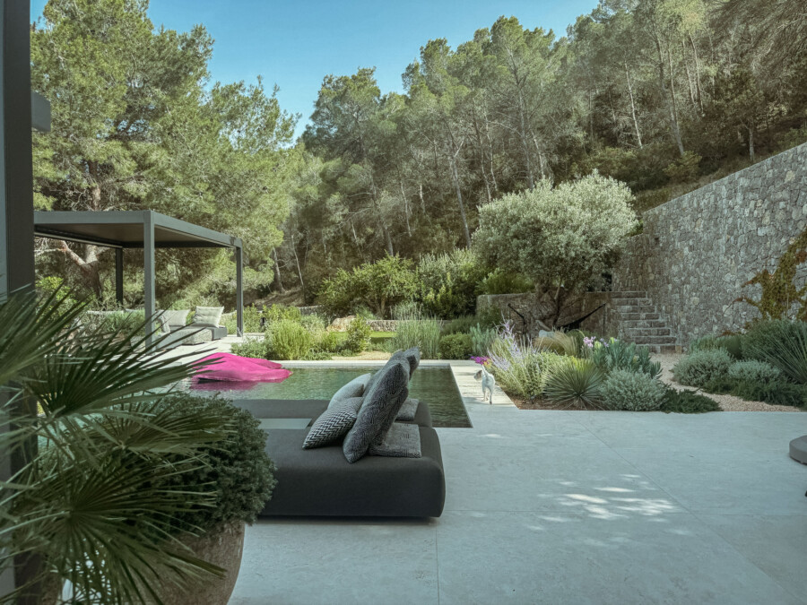 IMG 3380 kramer und kramer gartenkatsey