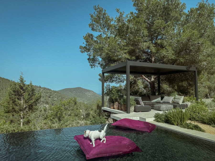 IMG 3401 kramer und kramer gartenkatsey