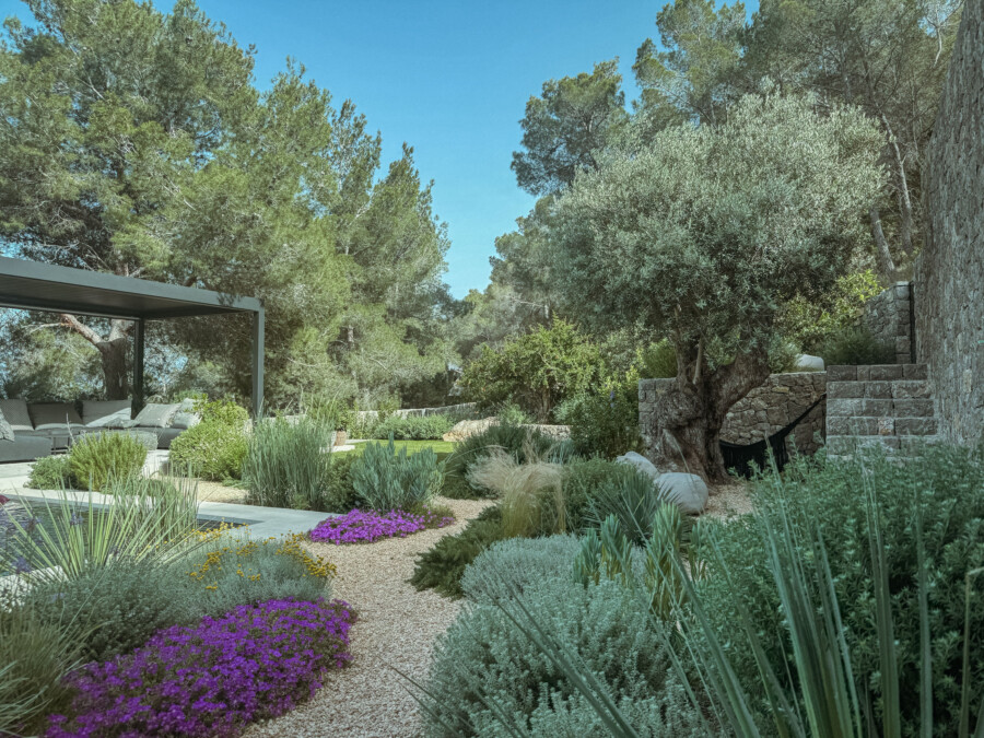 IMG 3425 kramer und kramer gartenkatsey