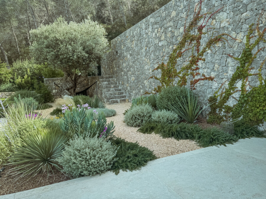 IMG 3476 kramer und kramer gartenkatsey