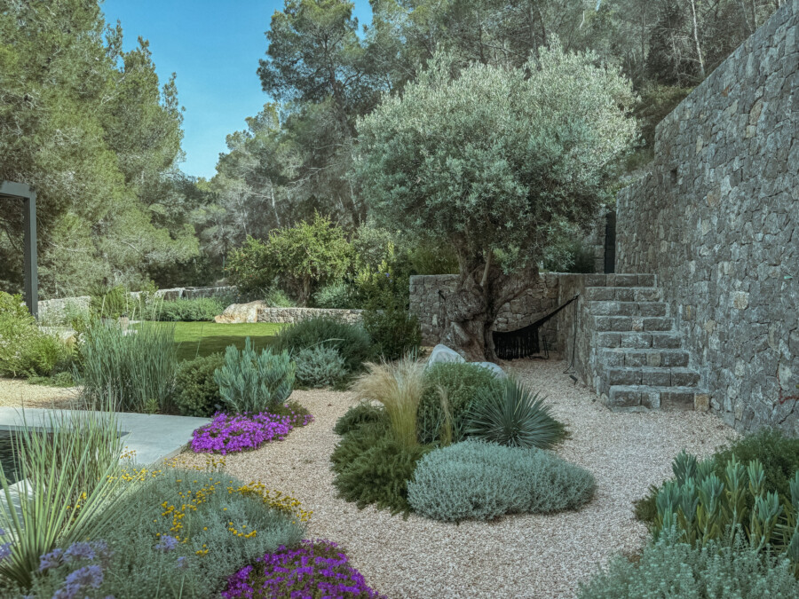 IMG 3480 kramer und kramer gartenkatsey