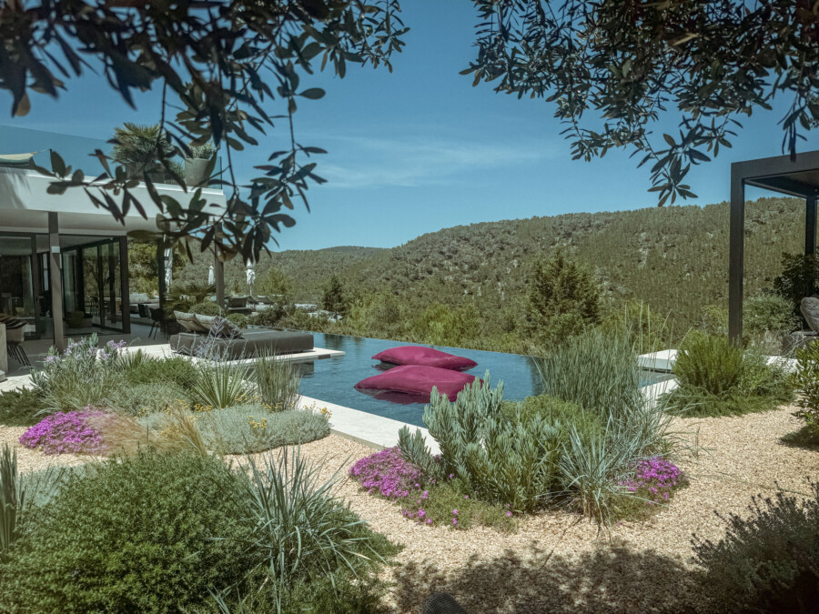 IMG 3549 kramer und kramer gartenkatsey