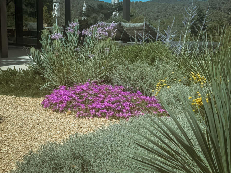 IMG 3613 kramer und kramer gartenkatsey