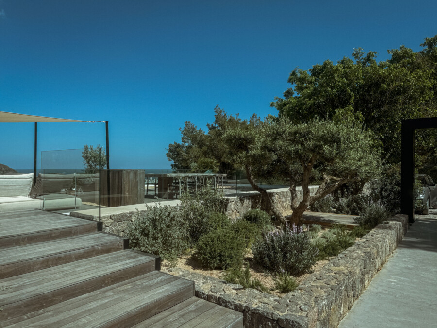 IMG 3657 kramer und kramer gartenkatsey