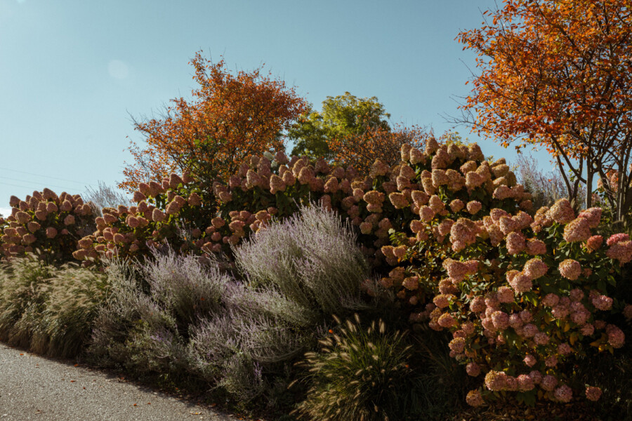 8215 kramer und kramer garten katsey
