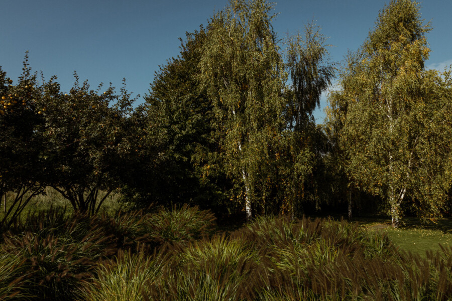 8251 kramer und kramer garten katsey