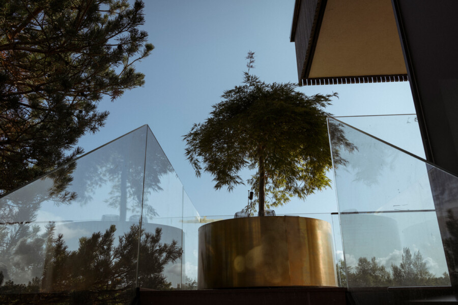 DSC4901katsey kramerundkramer garten