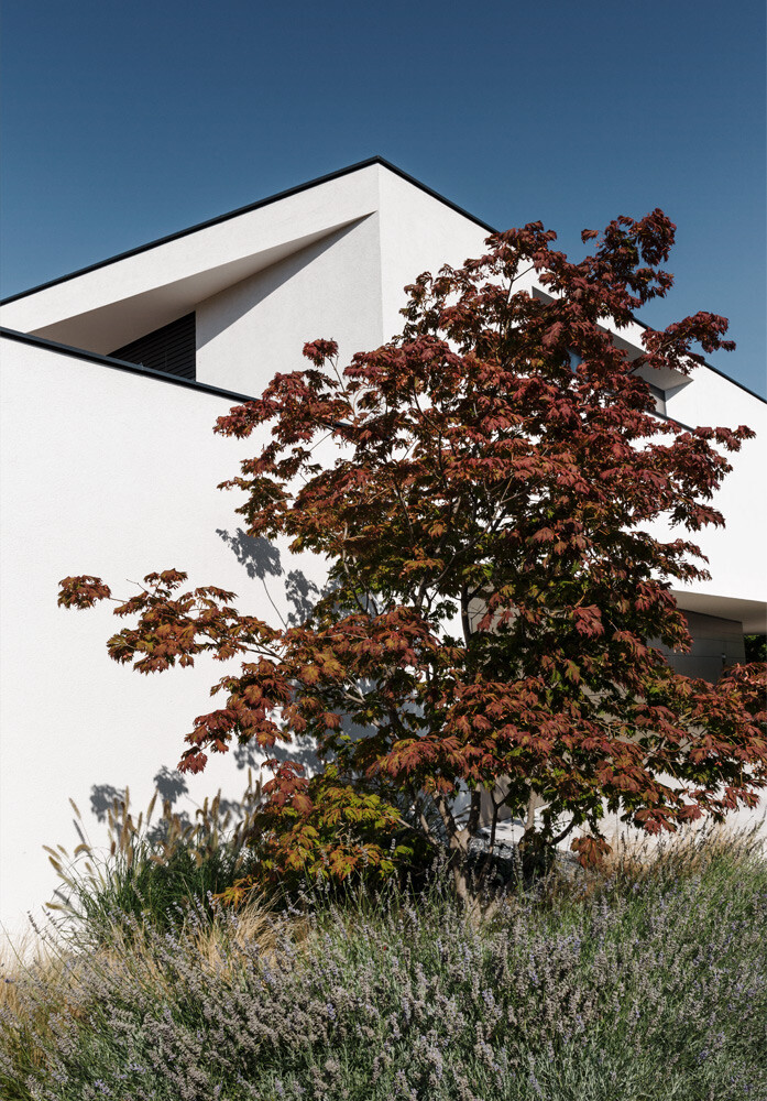 X6 A9079 kramer und kramer garten katsey