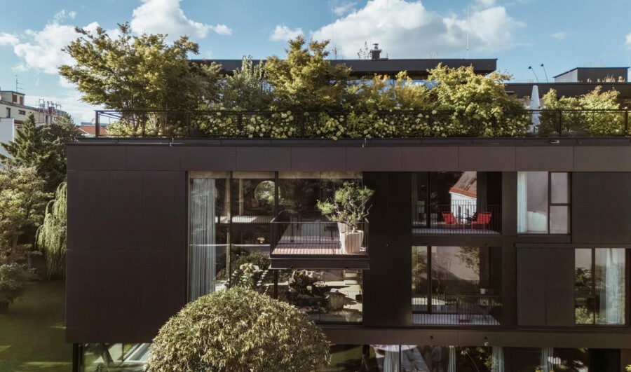 DJI 20250906163637 0027 D kramerundkramer garten katsey