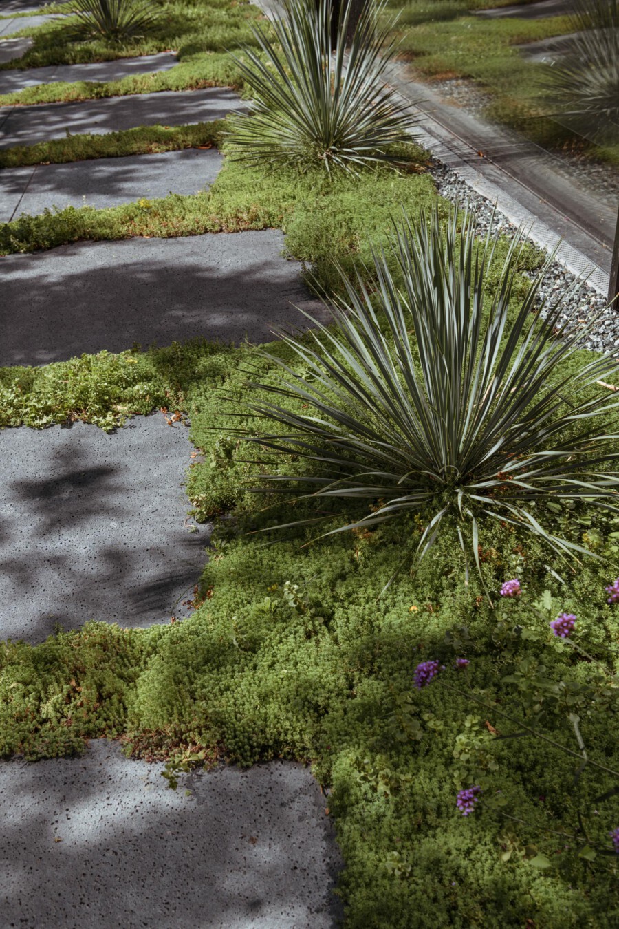 DSC4261 kramerundkramer garten katsey