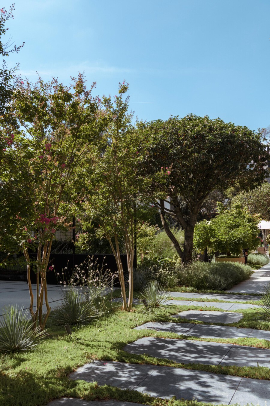 DSC4262 kramerundkramer garten katsey