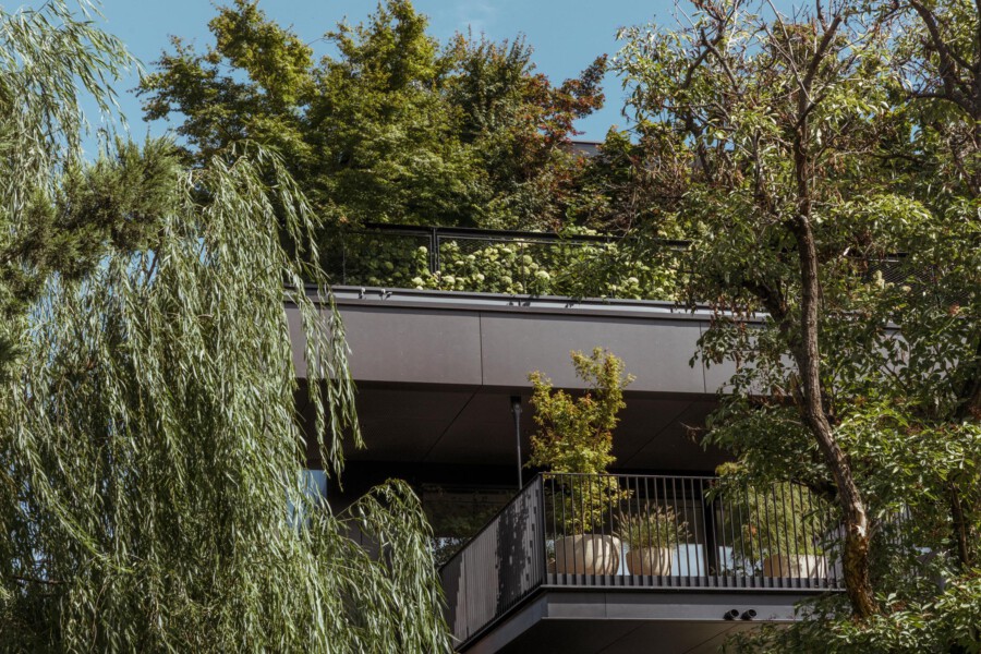 T1 A4314 kramerundkramer garten katsey