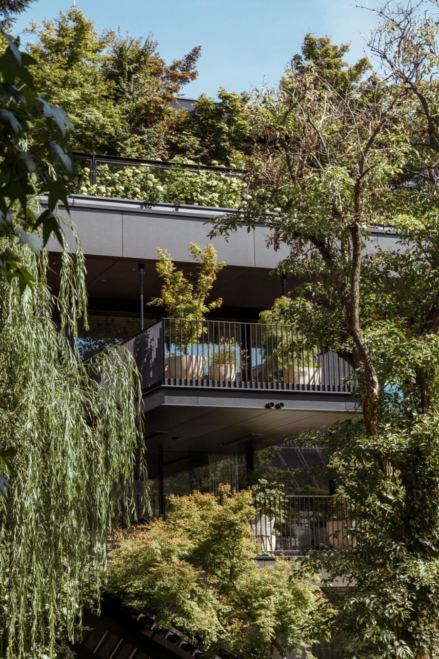 T1 A6146 kramerundkramer garten katsey