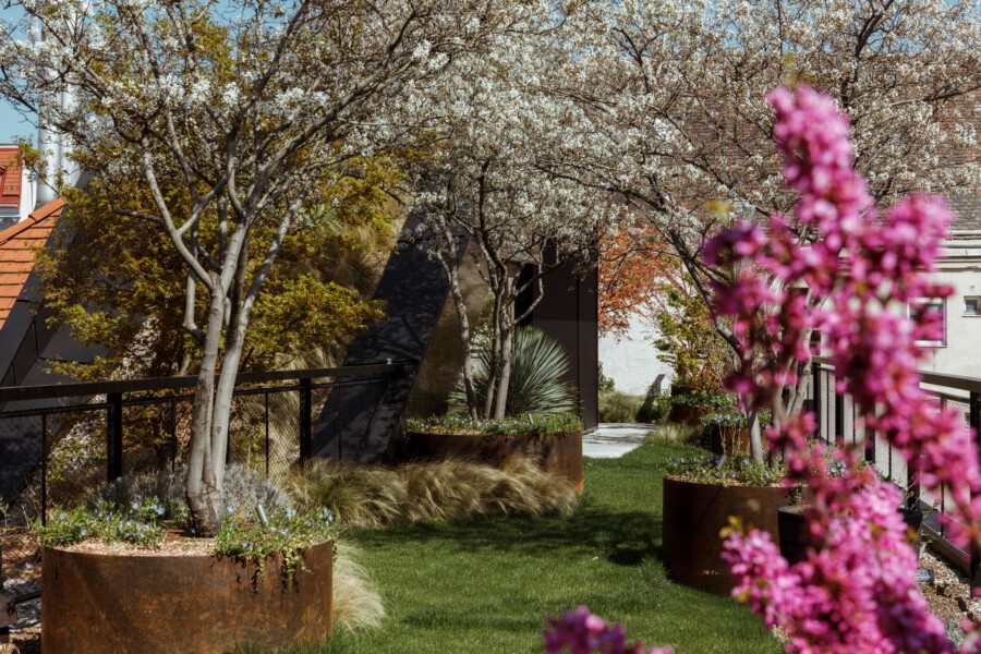 T1 A8691 kramerundkramer garten katsey