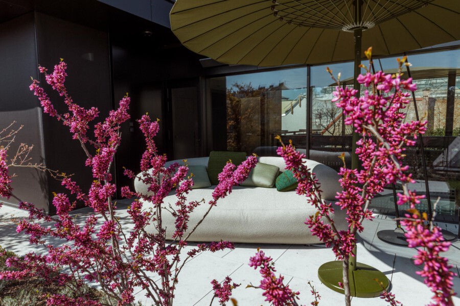 T1 A8703 kramerundkramer garten katsey