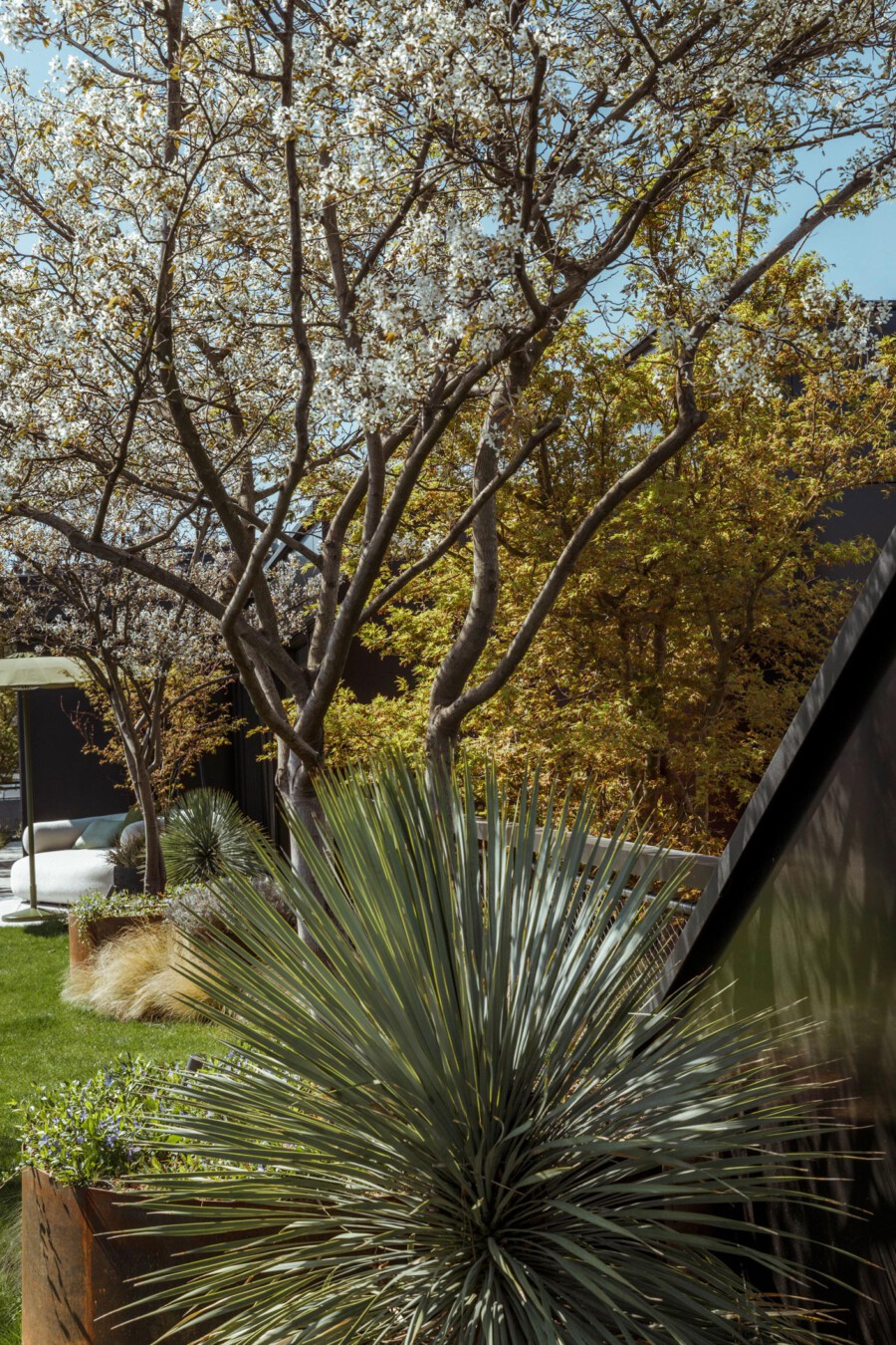 T1 A8741 kramerundkramer garten katsey