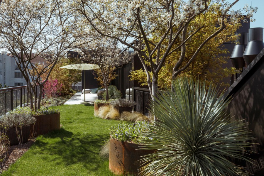 T1 A8745 kramerundkramer garten katsey