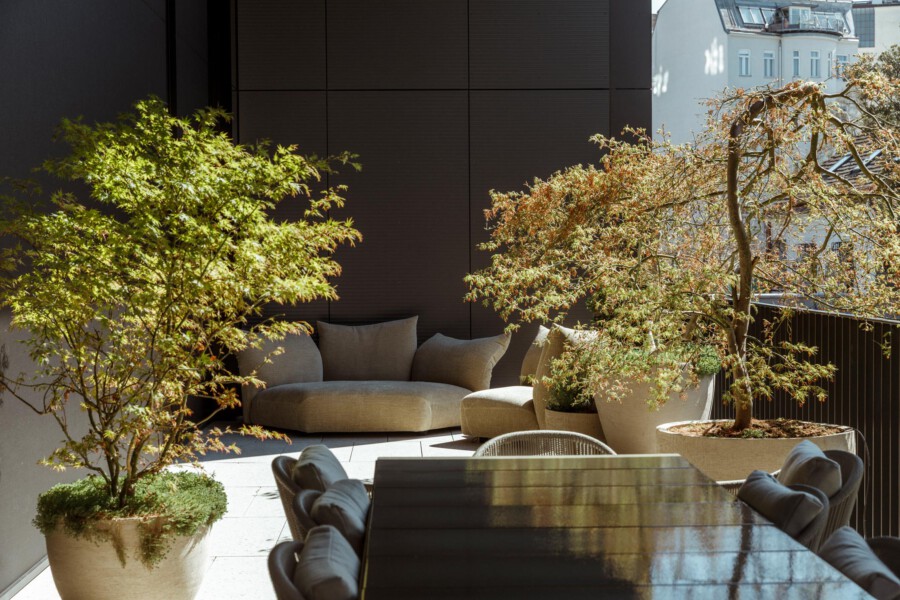 T1 A8848 kramerundkramer garten katsey