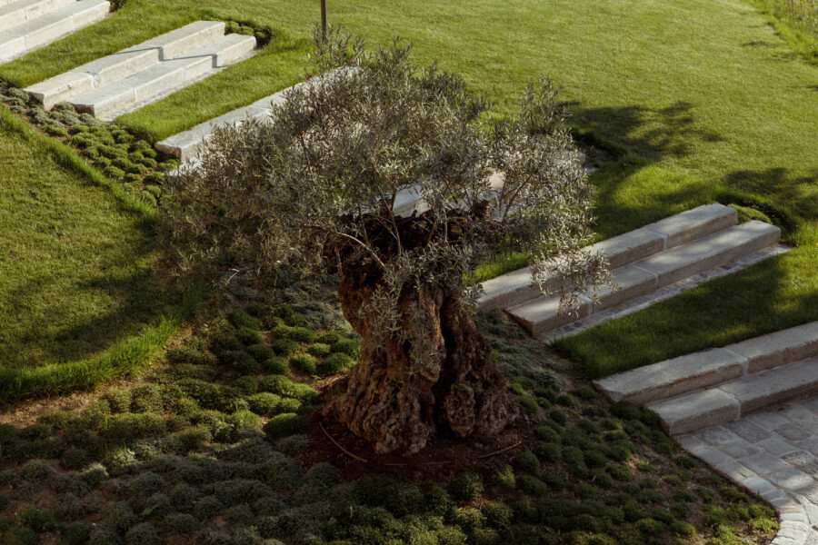 T1 A4403katsey kramerundkramer garten