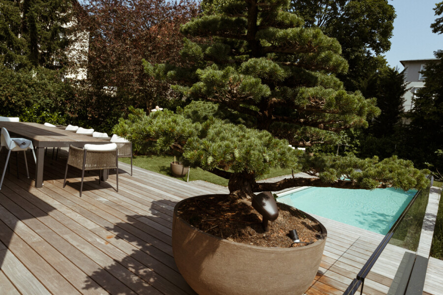 X6 A2528 kramer und kramer garten katsey