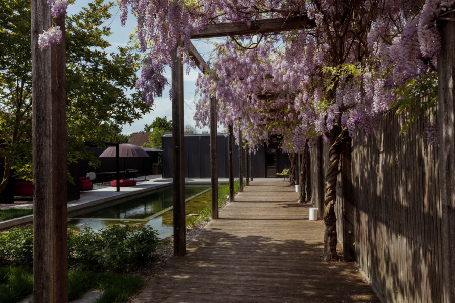 T1 A0076 kramer und kramer gartenkatsey