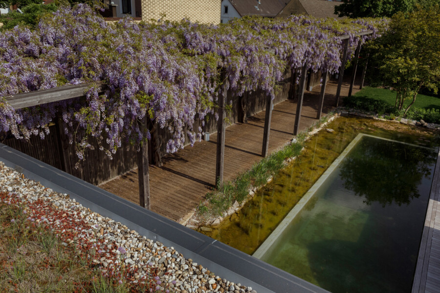 T1 A0147 kramer und kramer gartenkatsey