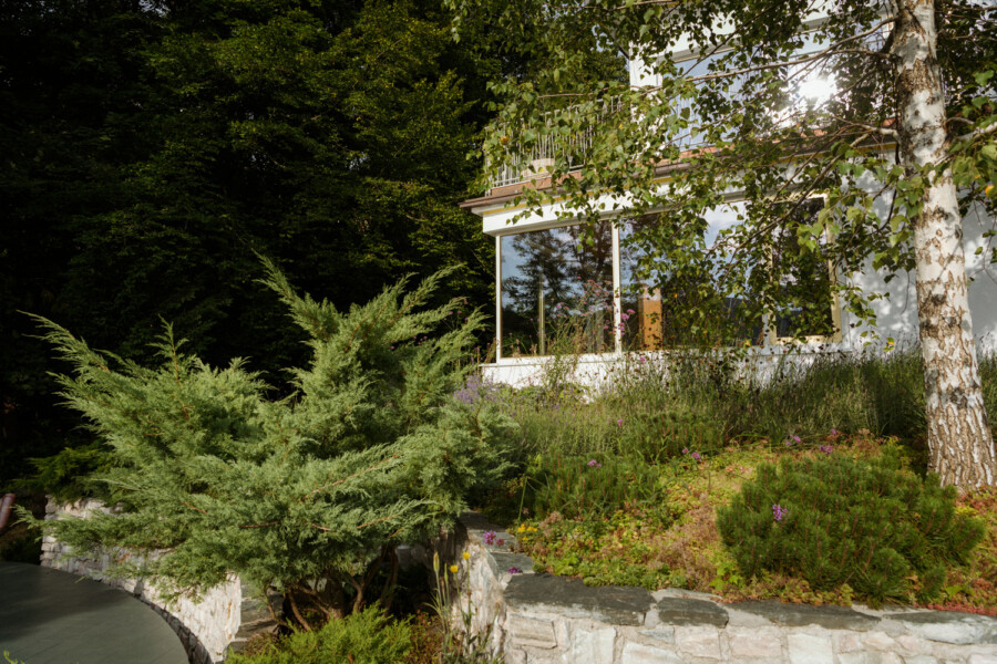 DSC8793 kramer und kramer gartenkatsey