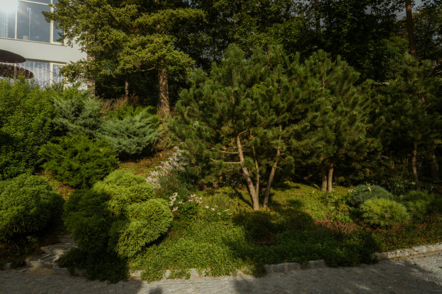 DSC8842 kramer und kramer gartenkatsey