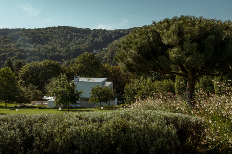 Sunlit park scene with a white modern house among trees, a large pine on the right, flowering shrubs in the foreground, and hills in the background.